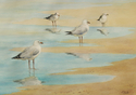 Reflections (thumbnail)