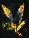 the sunbird