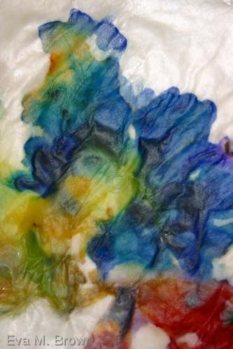 Photography-Color-watercolor iris