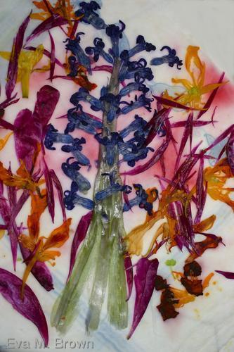 Photography-Color-all that jazz