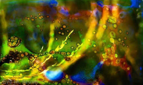 Photography-Color-sea tails
