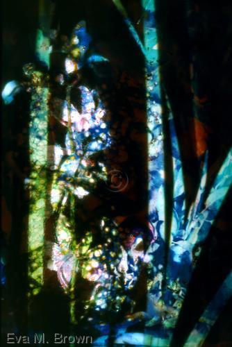 Photography-turquoise batik
