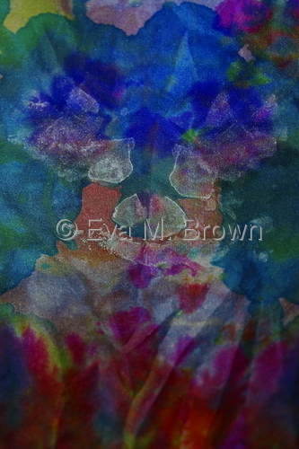 Photography-Two Sisters