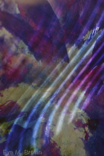 Photography-Color-Tale of a Whale