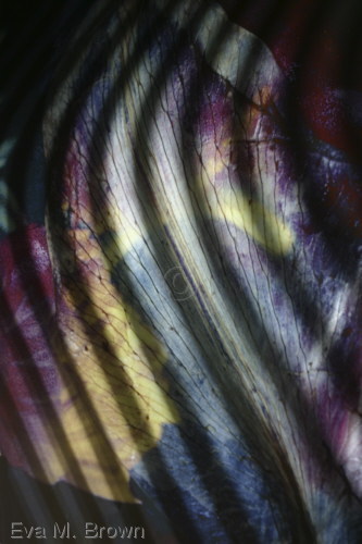 Photography-Color-Elbow Creek
