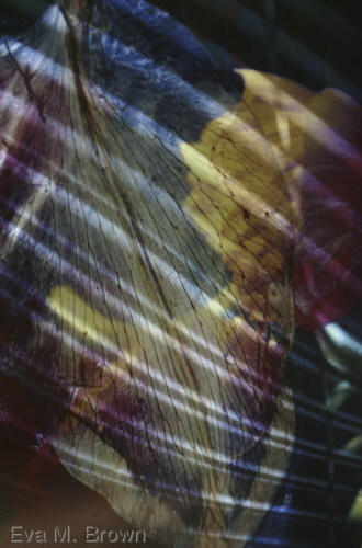 Photography-Color-Above and Beyond
