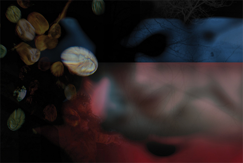 Photography-Figurative-08.392-Derwent