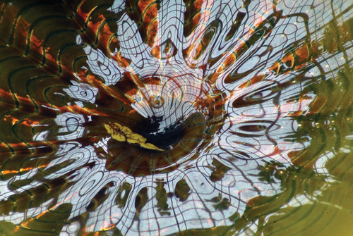 Photography-Abstract-TK008.71-Kokes