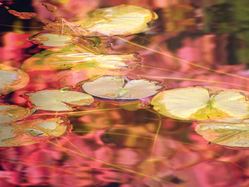 Photography-Landscape-TK008.23-Kokes