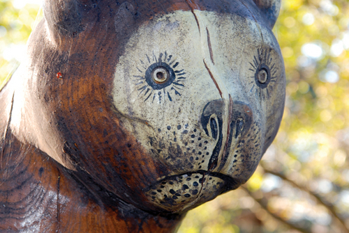 Photography-Animals-08.208-Derwent