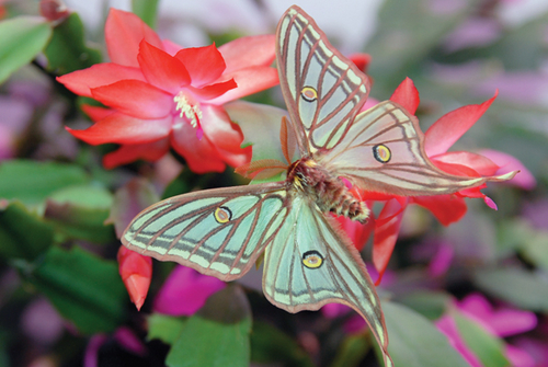Photography-Nature-08.223-Derwent