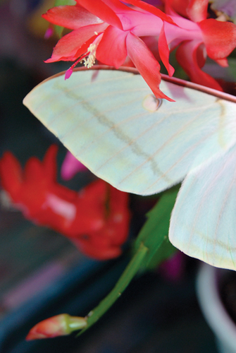 Photography-Nature-08.330-Derwent