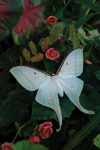 Photography-Nature-08.220-Derwent