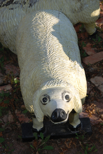 Photography-Animals-08.275-Derwent