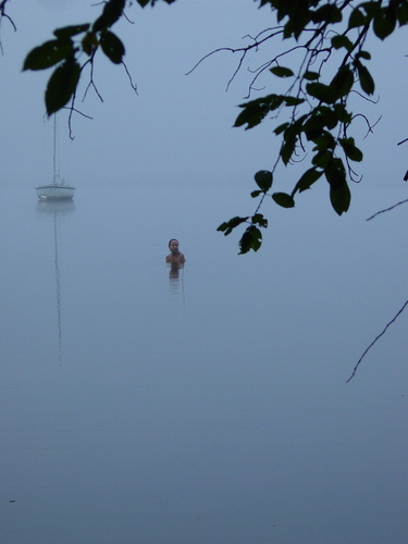 Foggy
