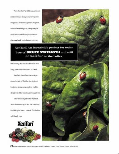 Ladybug Advertisement