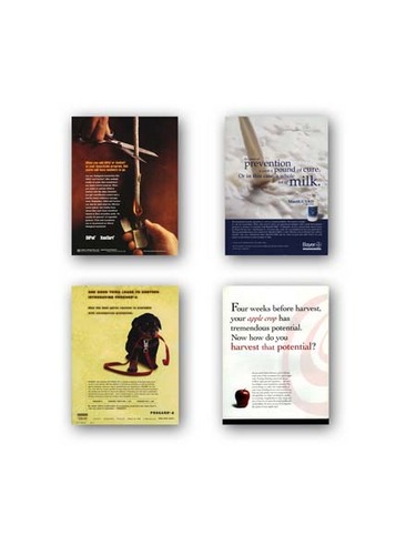 Portfolio Ads