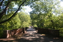 Photography--Color-LandscapeWalkway Across the Muddy River