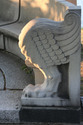 Photography--Color-LandscapeWinged Claw in Stone