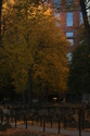 Photography--Color-LandscapeAutumn in the Old Granary