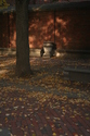 Photography--Color-LandscapeTree, Urn, and Shade