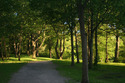 Photography--Color-LandscapeJamaica Pond #2