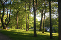 Photography--Color-LandscapeJamaica Pond #3