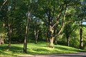Photography--Color-LandscapeJamaica Pond #5