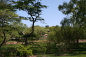 Photography--Color-LandscapeRemains of Eden