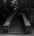 Photography--Black & White-LandscapeStairway from Paradise