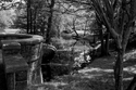 Photography--Black & White-LandscapeOverlook on the Muddy River