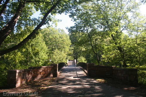 Photography-Landscape-Walkway Across the Muddy River