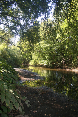 Photography-Landscape-Light through a clearing
