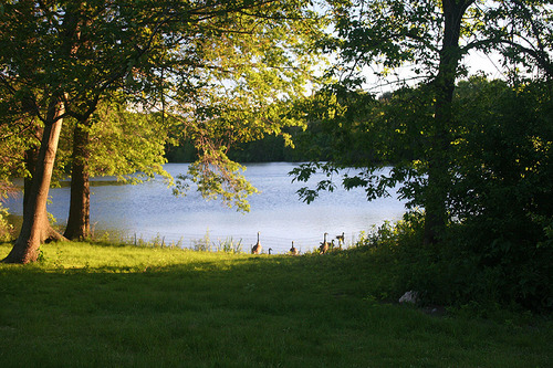 Photography-Landscape-Jamaica Pond #1