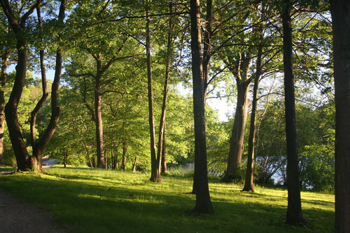 Photography-Landscape-Jamaica Pond #3