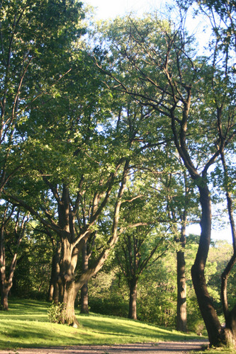 Photography-Landscape-Jamaica Pond #4