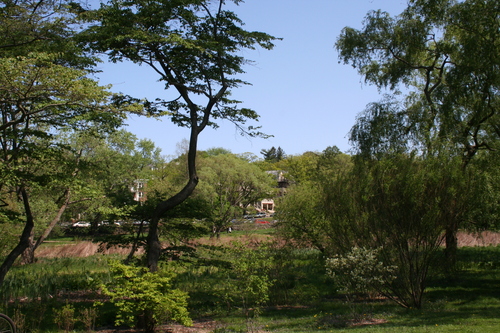 Photography-Landscape-Remains of Eden