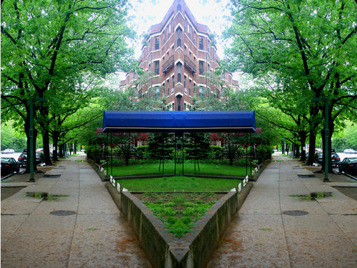 Photography-Riverway Street Parallels