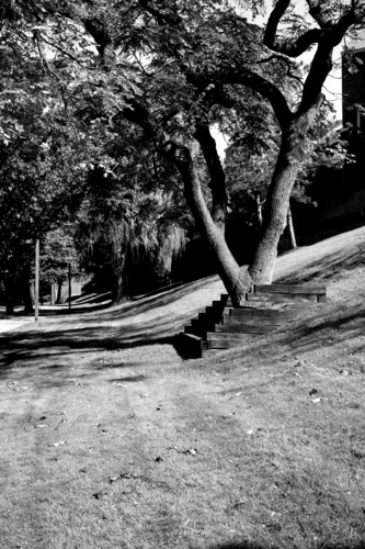 Photography-Landscape-Shady Hill on Riverway
