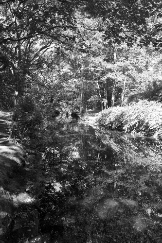 Photography-Landscape-Muddy River in the Afternoon