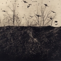 Eli Geller - Birds Over Compost