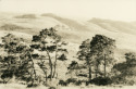 Eli Geller - Landscape Photography Eli Geller, Dreamscape, Point Reyes National Seashore, California Landscape Photography, Black AND White Landscapes, Lith Print - Landscape Photography