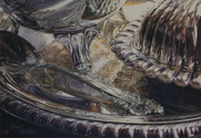 Drawing--Colored pencil-Still LifeThe Silver