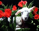 Drawing--Colored pencil-AnimalsTulip Bed