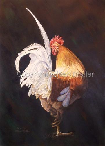 Drawing-Animals-Golden Rooster