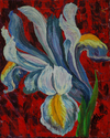 Blue Iris, oil on canvas