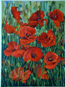POPPIES oil on canvs