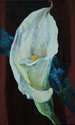 WHITE CALLA LILY oil on canvas