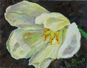 TULIP oil on board