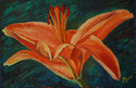 LILY I oil on board